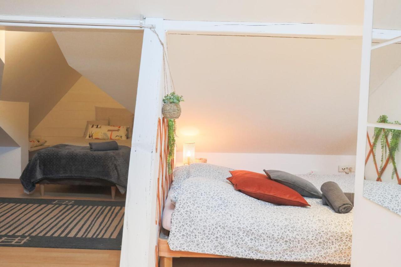 Le Petit Loft, Mulhouse Centre Appartement Buitenkant foto