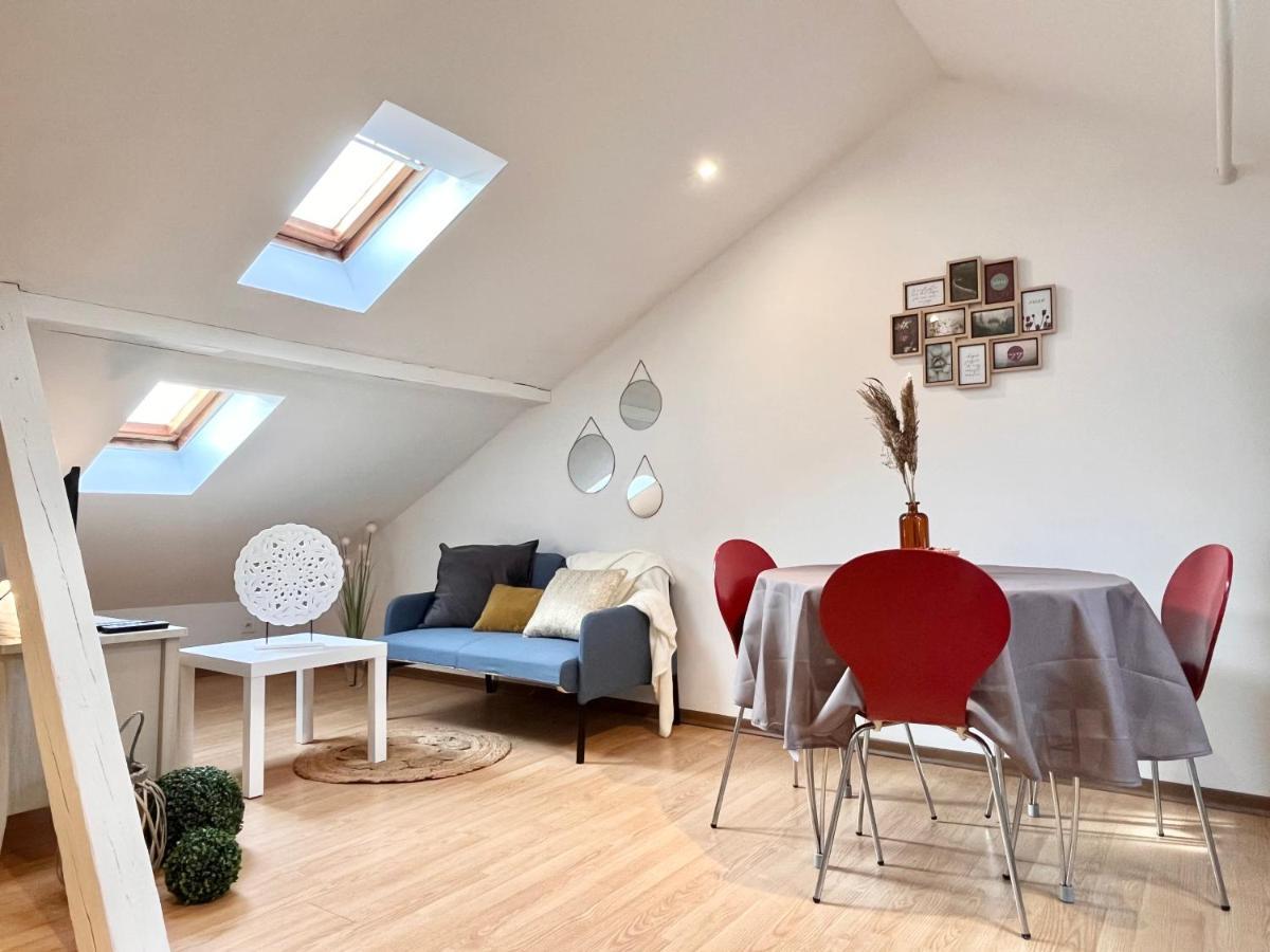 Le Petit Loft, Mulhouse Centre Appartement Buitenkant foto