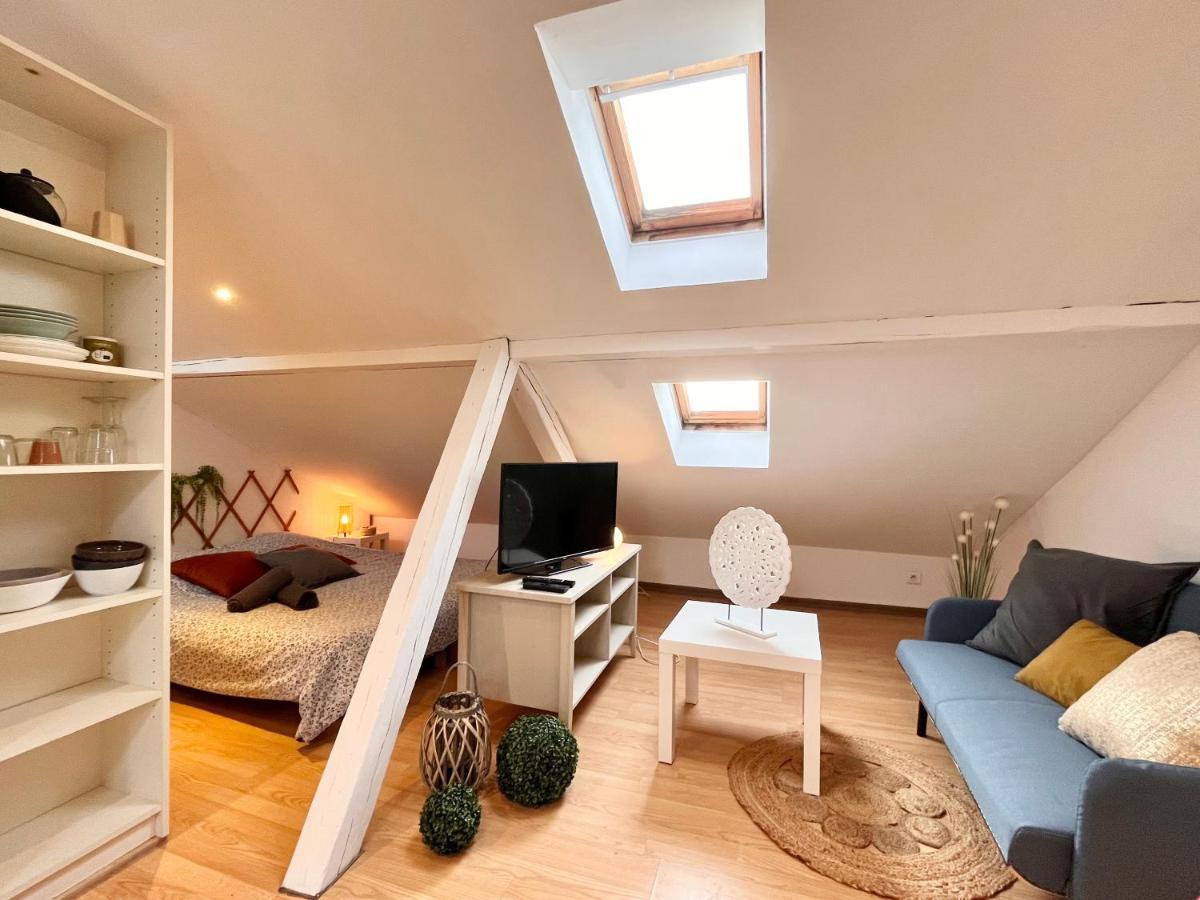 Le Petit Loft, Mulhouse Centre Appartement Buitenkant foto