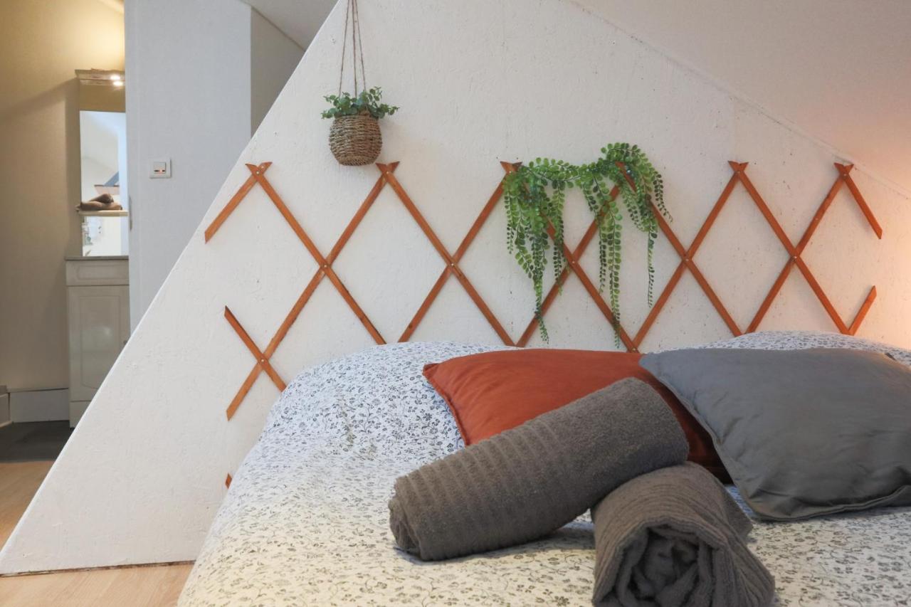 Le Petit Loft, Mulhouse Centre Appartement Buitenkant foto