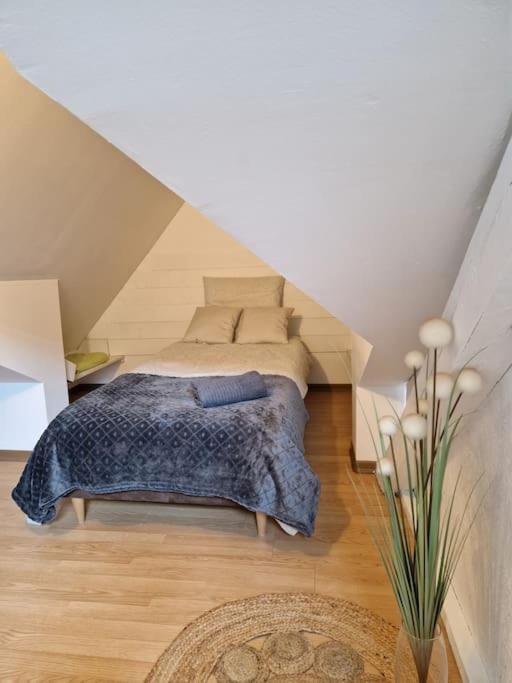 Le Petit Loft, Mulhouse Centre Appartement Buitenkant foto