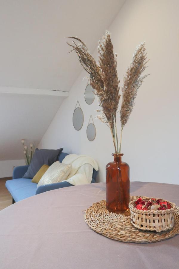 Le Petit Loft, Mulhouse Centre Appartement Buitenkant foto