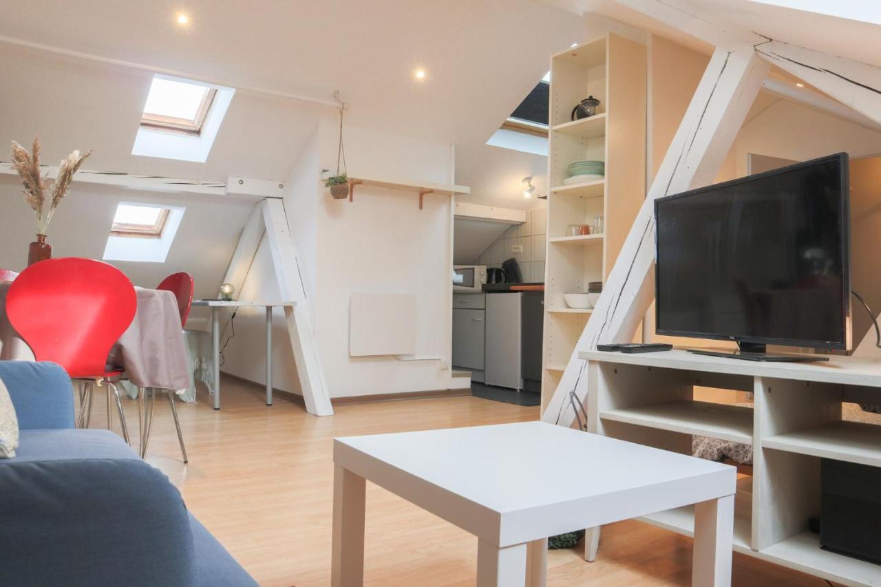 Le Petit Loft, Mulhouse Centre Appartement Buitenkant foto