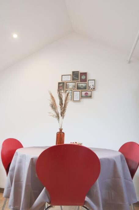 Le Petit Loft, Mulhouse Centre Appartement Buitenkant foto